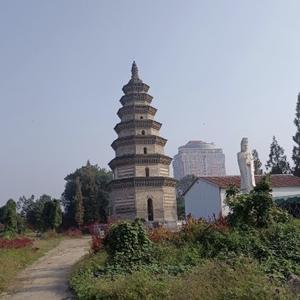 南岸音乐头像