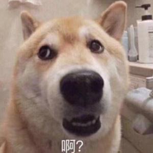 麻花嘚吧嘚头像