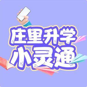 庄里升学小灵通头像