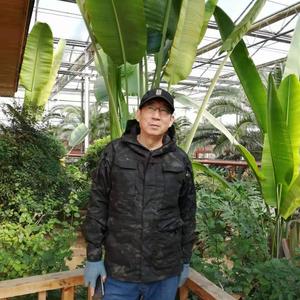大中辉苏木头像