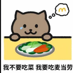 胖猫大哭头像