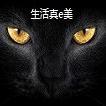 海嗨渔乐圈头像