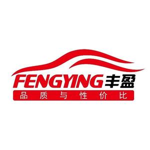 丰盈整备头像
