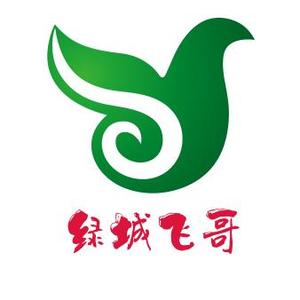 绿城飞哥头像