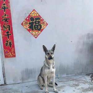 运动大海7Z6J头像