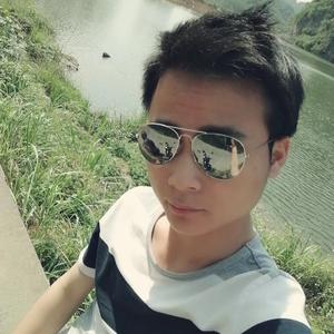 柳州小龙头像