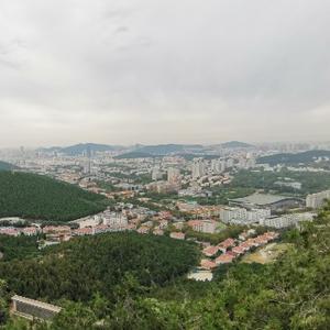 王朝001头像