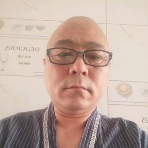 新哥故事会头像
