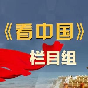看中国头像