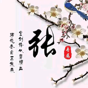 新市每天跑邢台出租车强哥头像