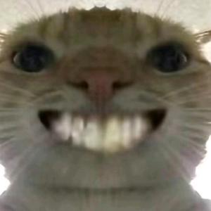 搞笑男灬SB头像