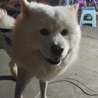 时光清浅只为遇见你头像