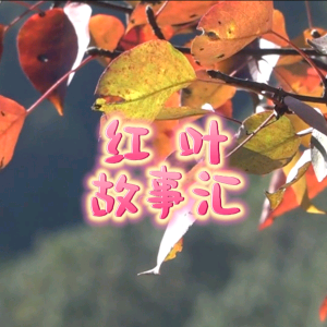 红叶故事汇头像