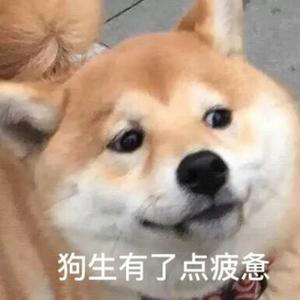 墨水qwp头像