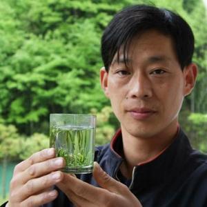 何其远野性茶头像