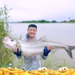 茅台打窝钓鱼头像