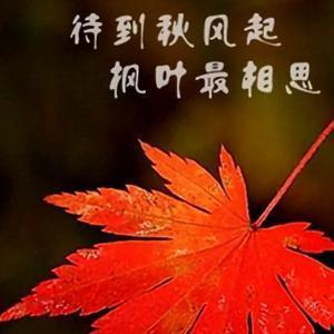 手机用户6979844443头像