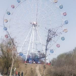 玛尔孜亚依斯坎达尔头像