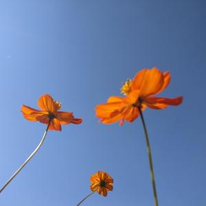 幸福美满哦头像