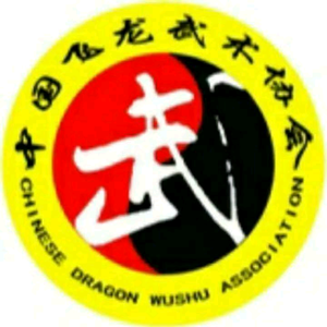 釋飛龍武學院头像
