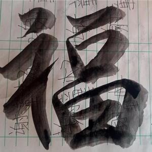 杨帆启航2头像