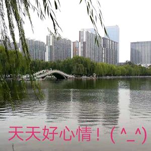 东方荣珠头像