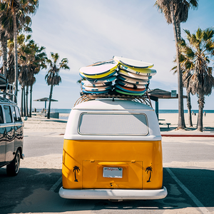 认真客观讲道理头像