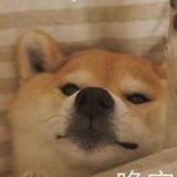 JIANG梓晨头像