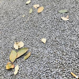 陈师的装修日常头像