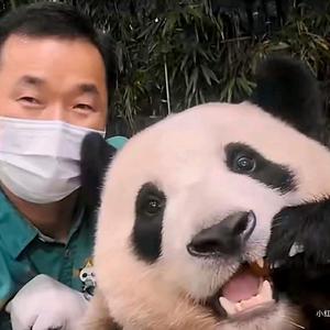 2023年的狮子座头像
