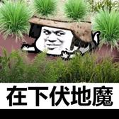取一杯天上滴水头像