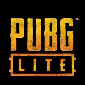 喜欢玩PUBG的大华头像