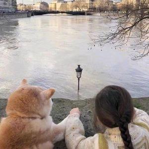 尬叔赏花头像
