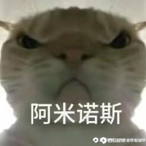 猫猫大军集合头像