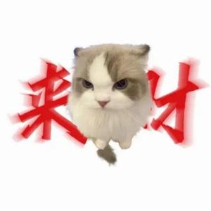 X2VzbjHf2QF0161头像