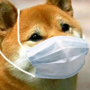 翩翩奶嘴头像