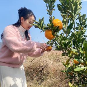 白鹤鸭卤君头像