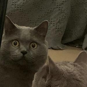 不会画画的小刘头像