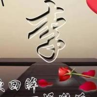 热血青年比尔5q6头像