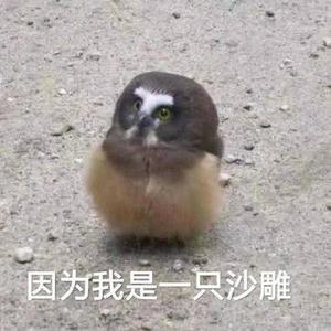 AA搞笑研究所头像