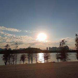 心向阳光头像