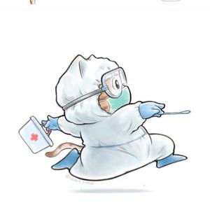沙漠一只雕头像