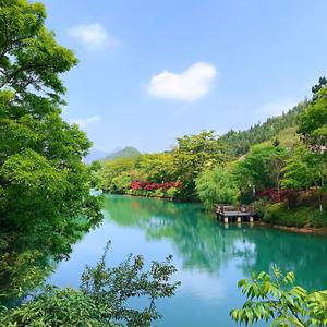 朱伟头像