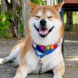 爱玩游戏的岁月头像