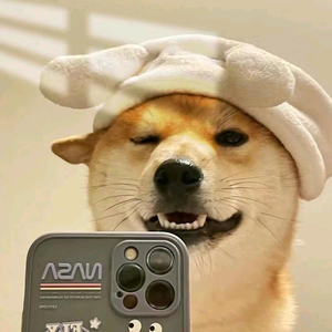 上海置业顾问小张头像