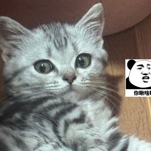 Xianyaokuaile.头像