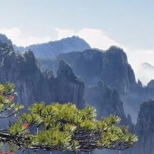 紫台观山头像