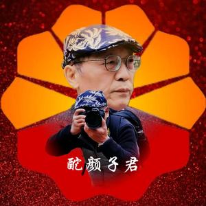 酡颜子君头像