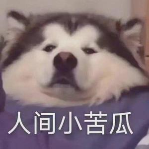 佛语不眠头像