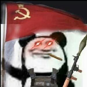 有名不在头像